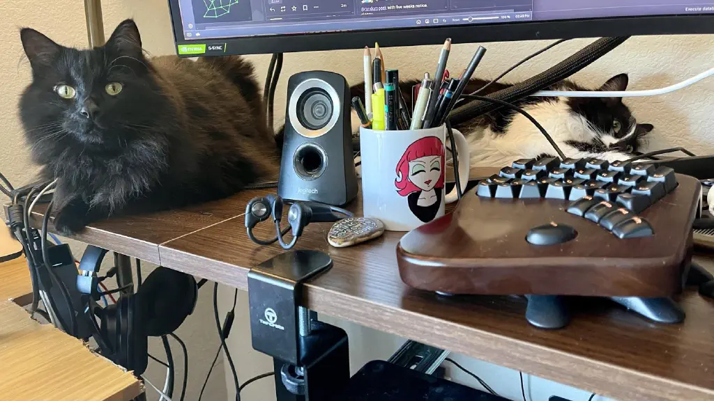 Two cats sitting under and behind a computer monitor. A black cat looks with some pleasure at the camera, while a black and white cat behind him looks distracted as he stares off to the side