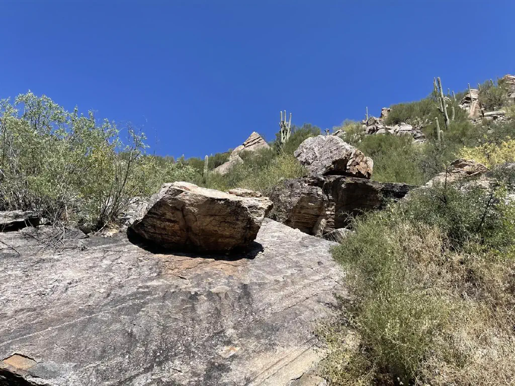 Rock resting on another side pick against a backdrop of green bushes — and rocks