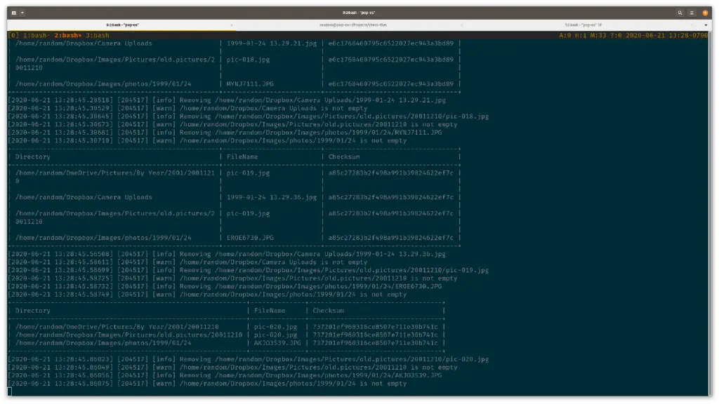 terminal screenshot showing duplicate files and reporting files being deleted