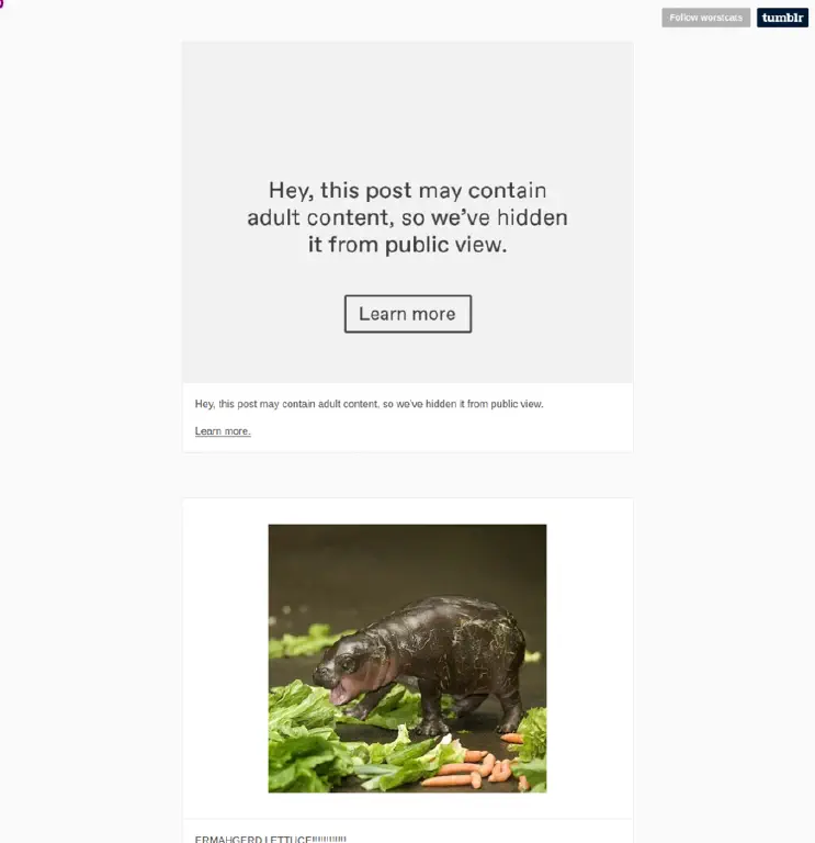 Post at &ldquo;worst cats&rdquo; humor tumblr hidden, with caption &ldquo;Hey, this post may contain adult content, so we’ve hidden it from public view.&rdquo;