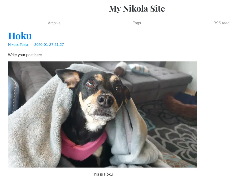 photo of cute small chihuaua-ish dog under a blanket, used in a stock web site