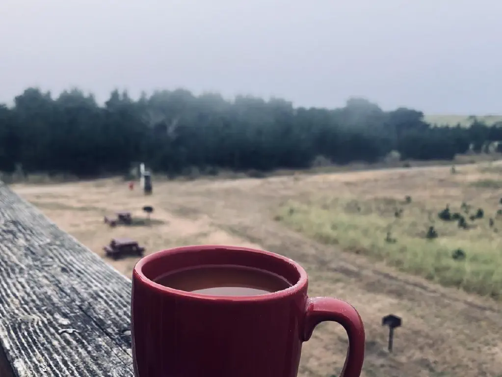 Foreground: coffee cup; background: woods on beach lightly draped in fog