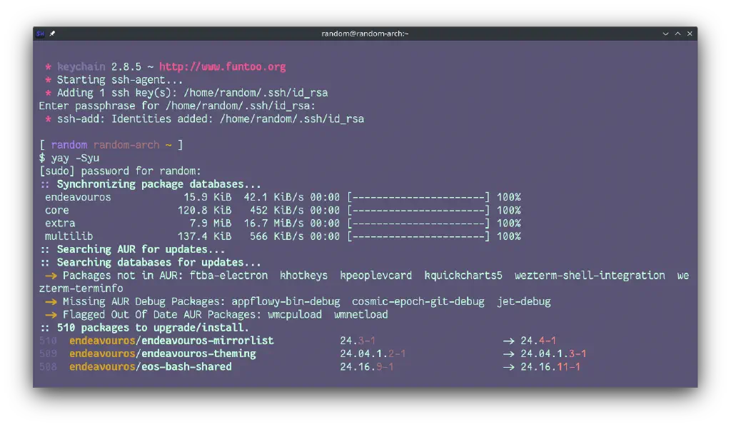 Initial output from indicating there are 510 packages to be updated