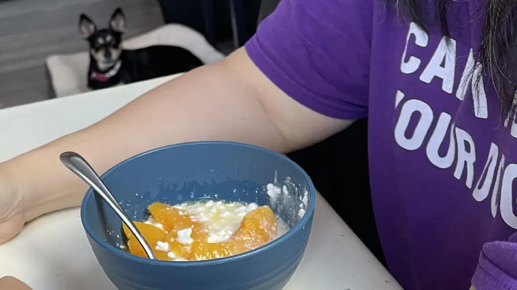 Cottage cheese and fruit. In the distance, a dog stares longingly