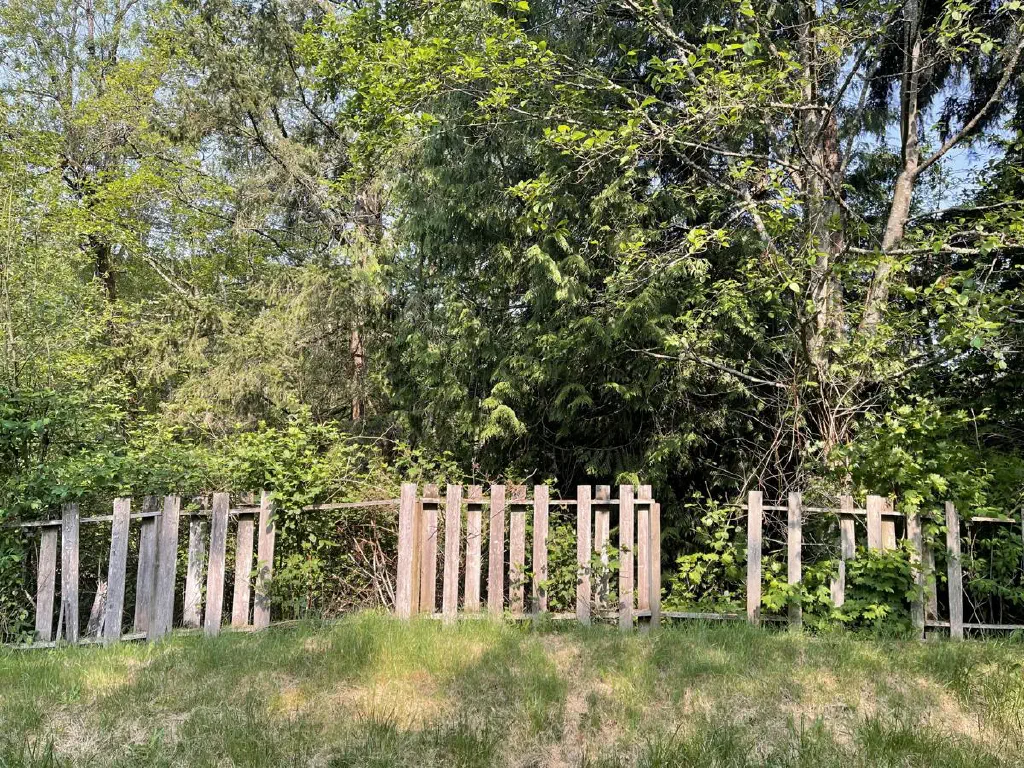 Old dilapidated wooden fence with many trees behind it.