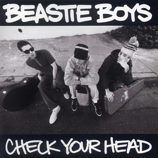Album cover for “Check Your Head”