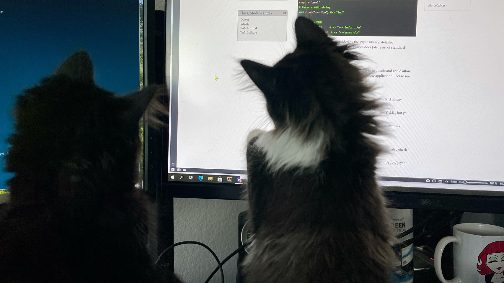 Kittens in mid-pounce, with their target being the mouse pointer on my desktop monitor. 