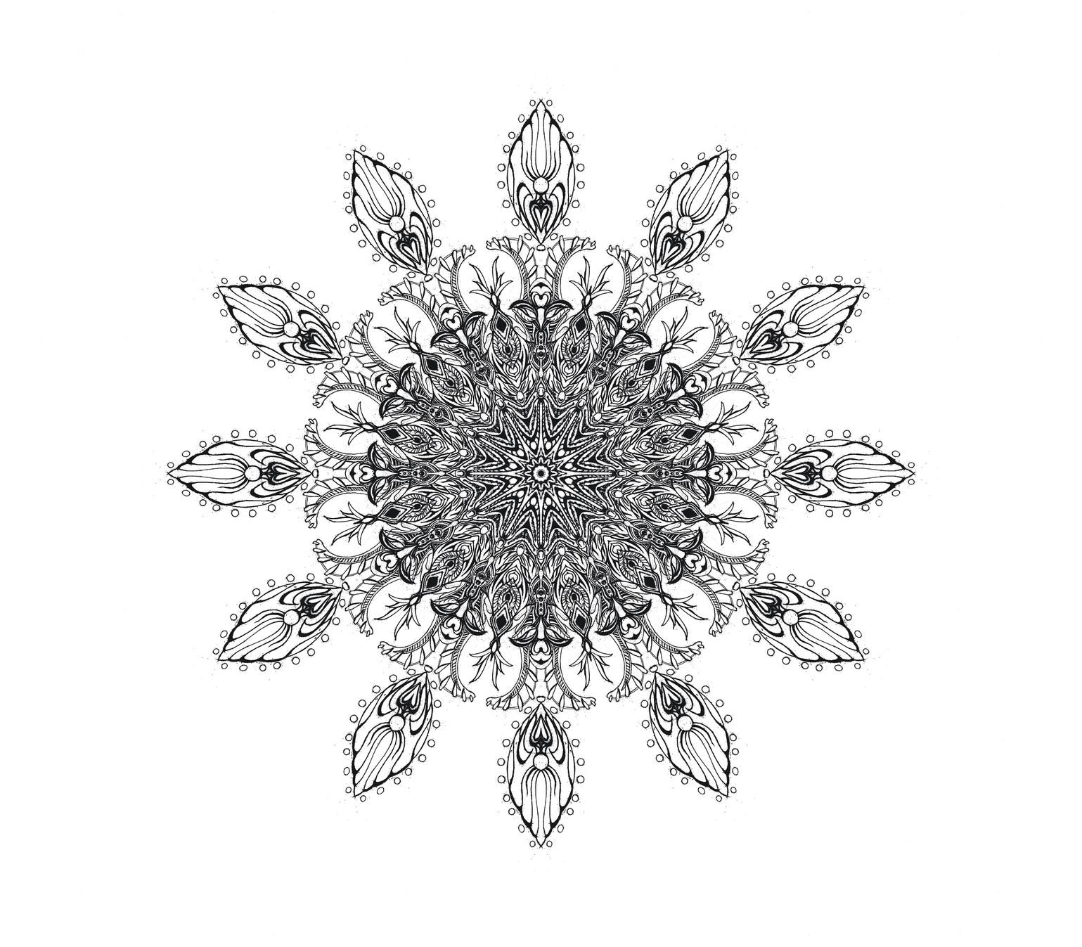 Radial symmetry line drawing