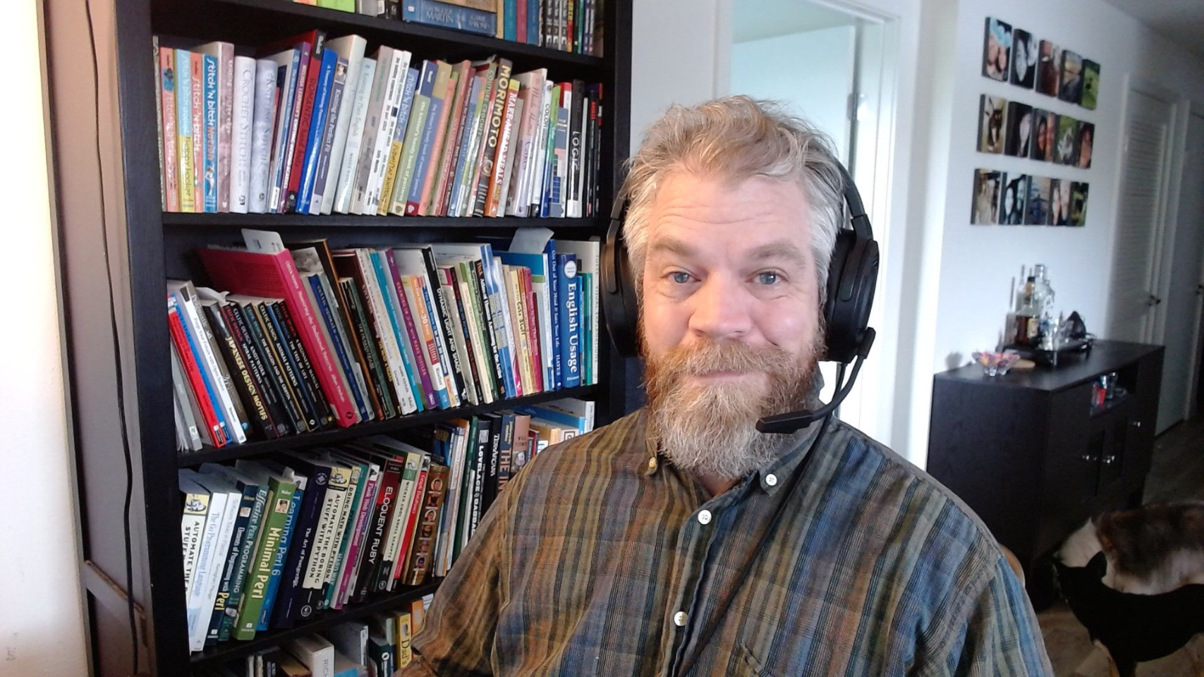 selfie of beardy dude wearing headset. Small dogs visible in background.