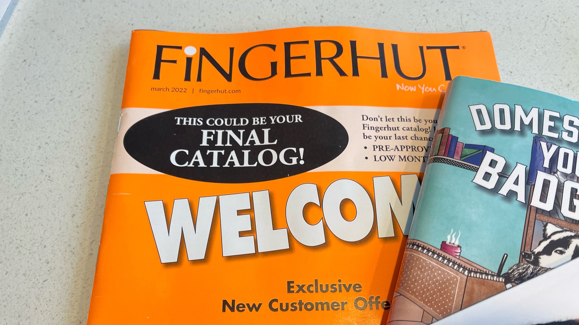 Fingerhut catalog with large text “THIS COULD HE YOUR FINAL CATALOG”; book “Domesticate Your Badgers” by Michael W Lucas is also partially visible