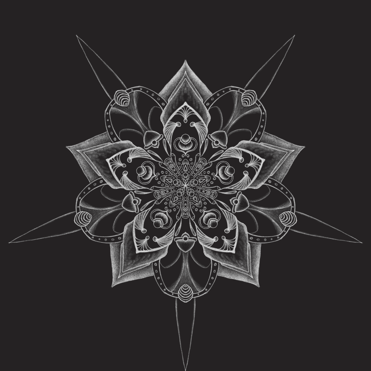 White vaguely Art Deco floral line drawing on a black background