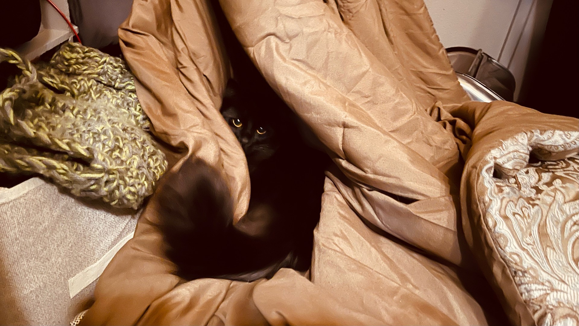 Black cat deeply nestled in a thick soft warm comforter, next to some yarn