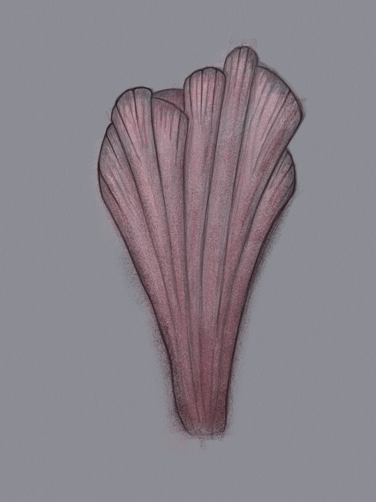 A line drawing with pinkish shades, vaguely floral or fungal as described in post body. 