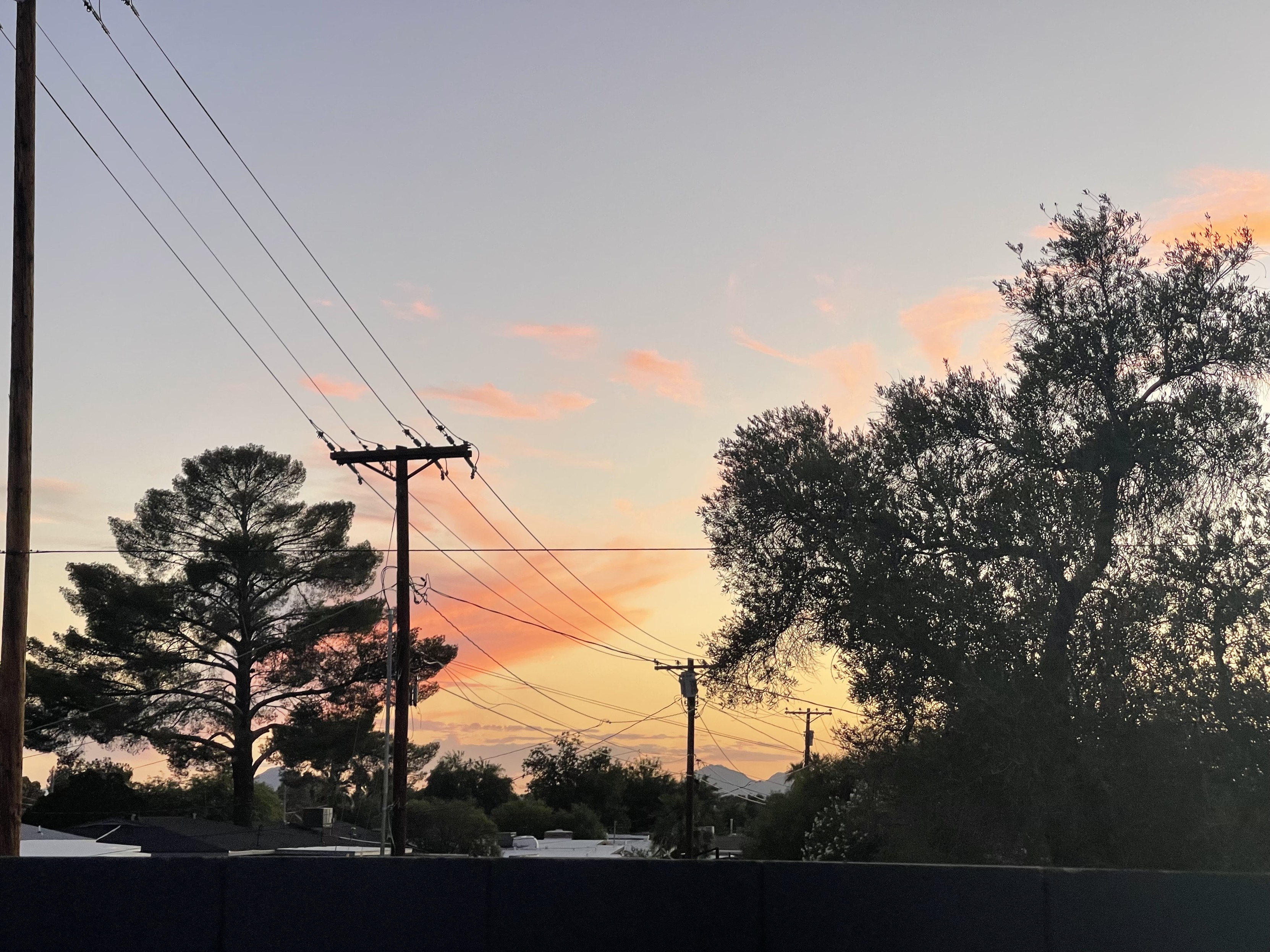 Sunset clouds visible behind desert trees and power lines. 