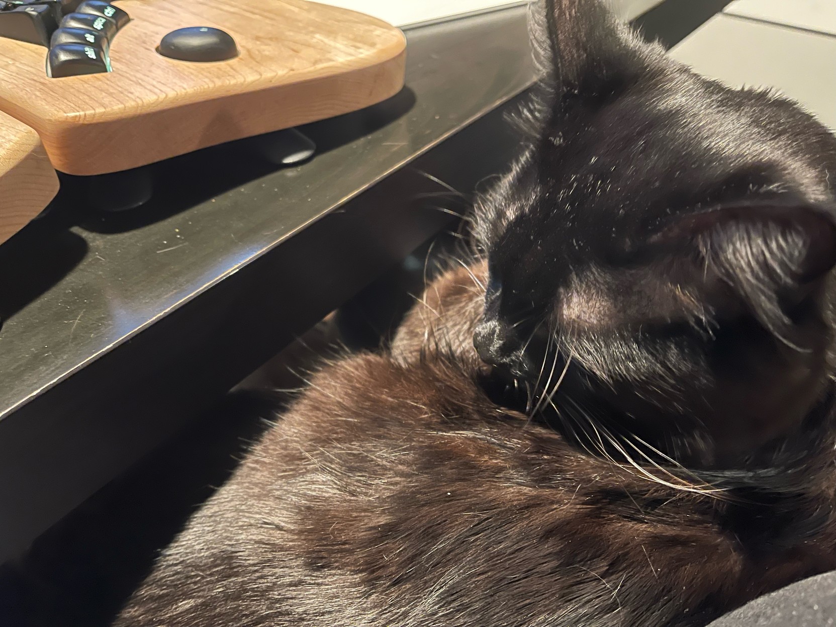 Black cat comfortably nestled on lap seated in front of desk and keyboard. 