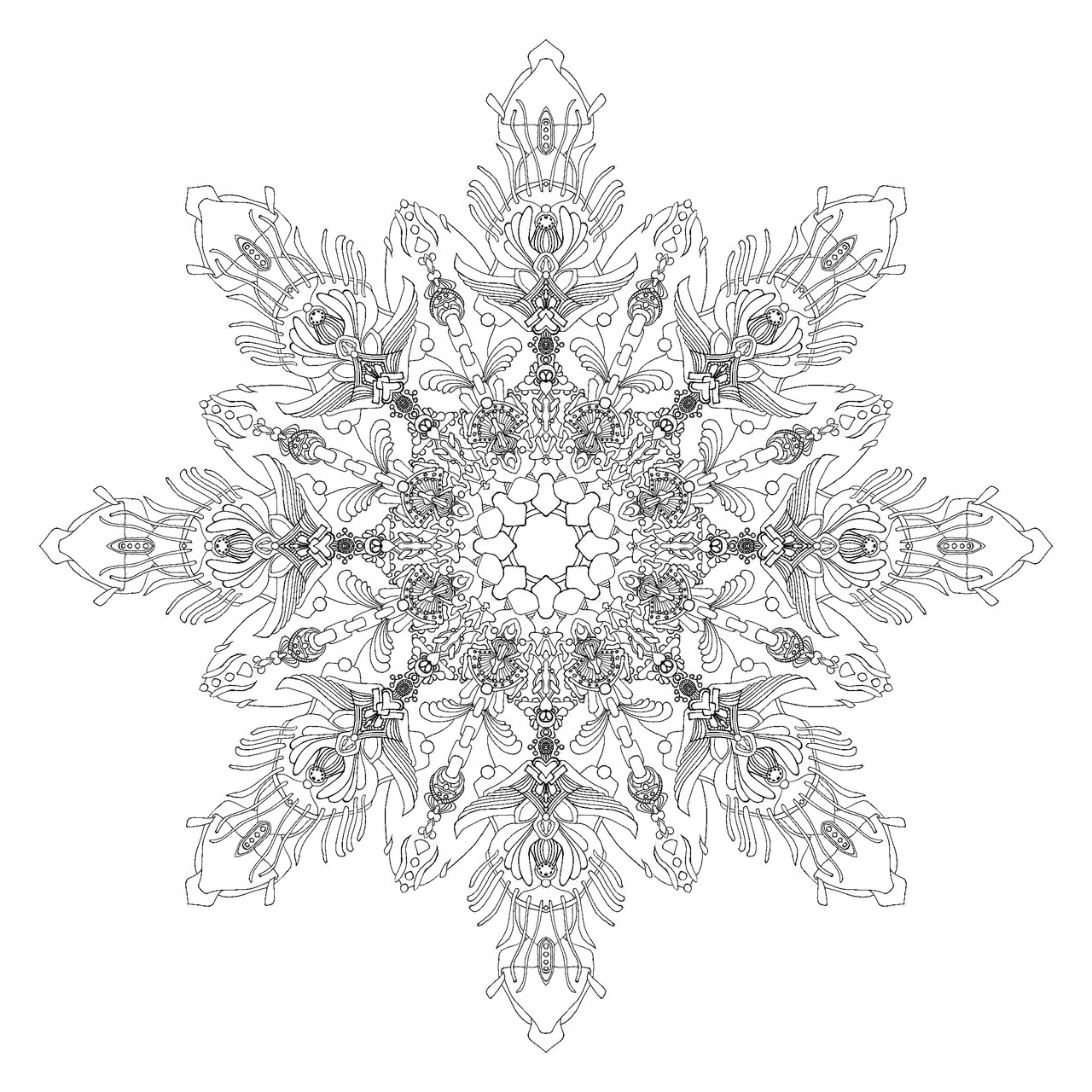 Rotational symmetry drawing