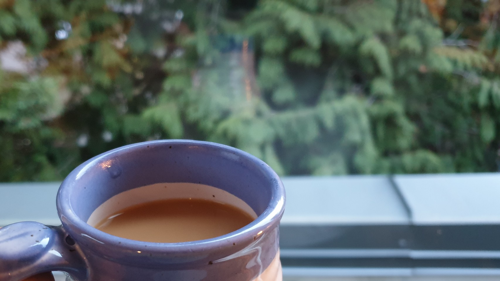 Coffee cup in front of window; evergreen trees in background