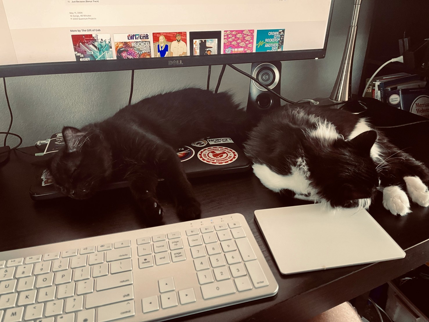 Kittens sleeping on my laptop while the monitor shows Gift of Gab is playing