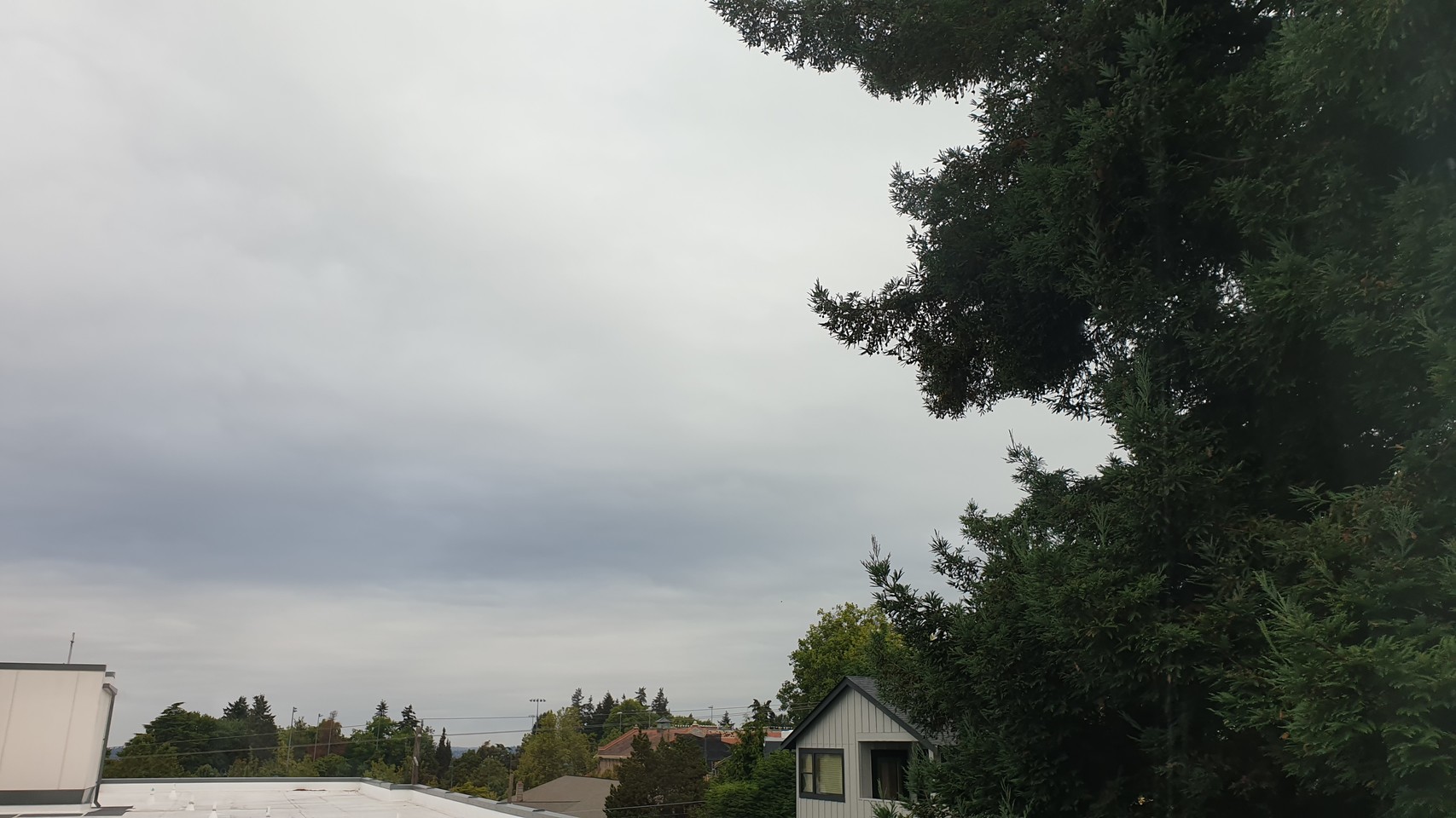 Overcast sky