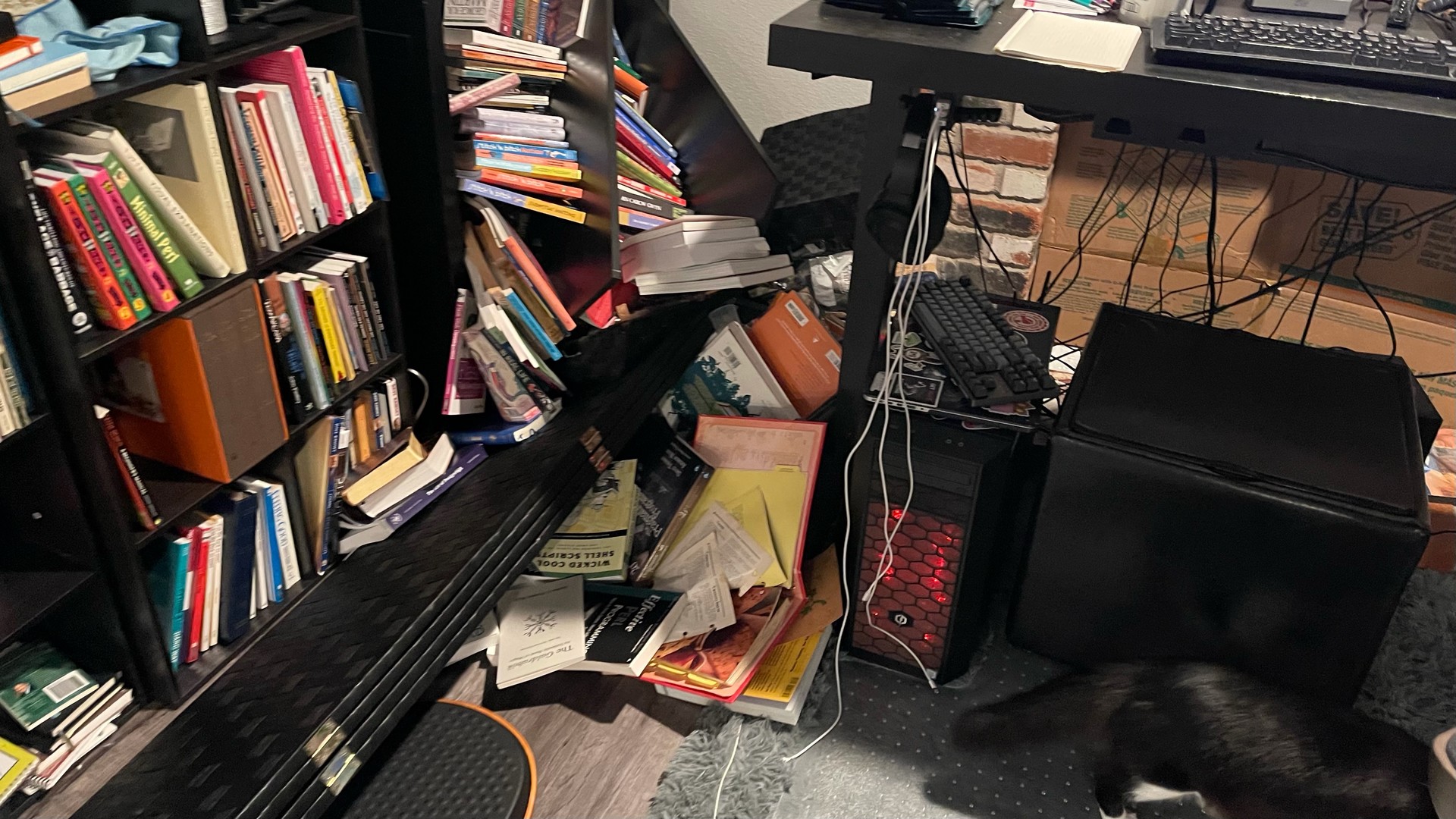 Bookshelf. All the shelves collapsed. All the books piled on the ground. The cat walking away, because clearly his work here is done. 