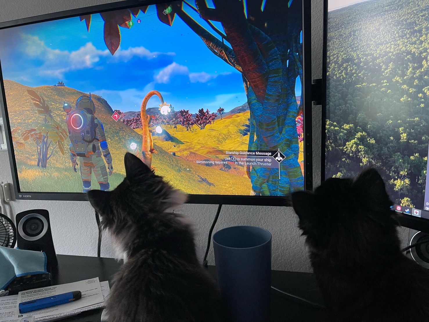 Kittens intensely watching a video game. 