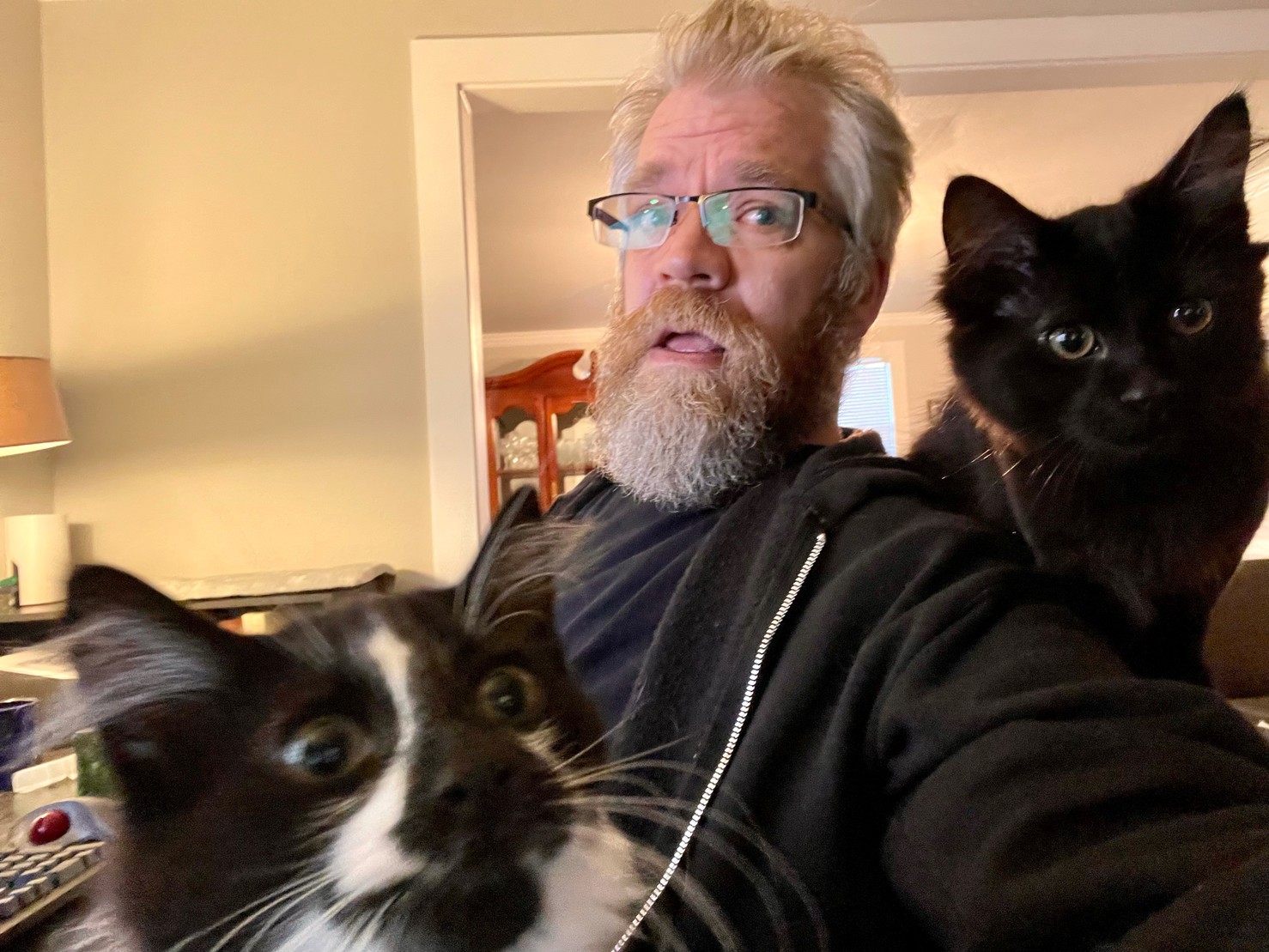 Selfie with kittens and a beardy dude all looking at the camera