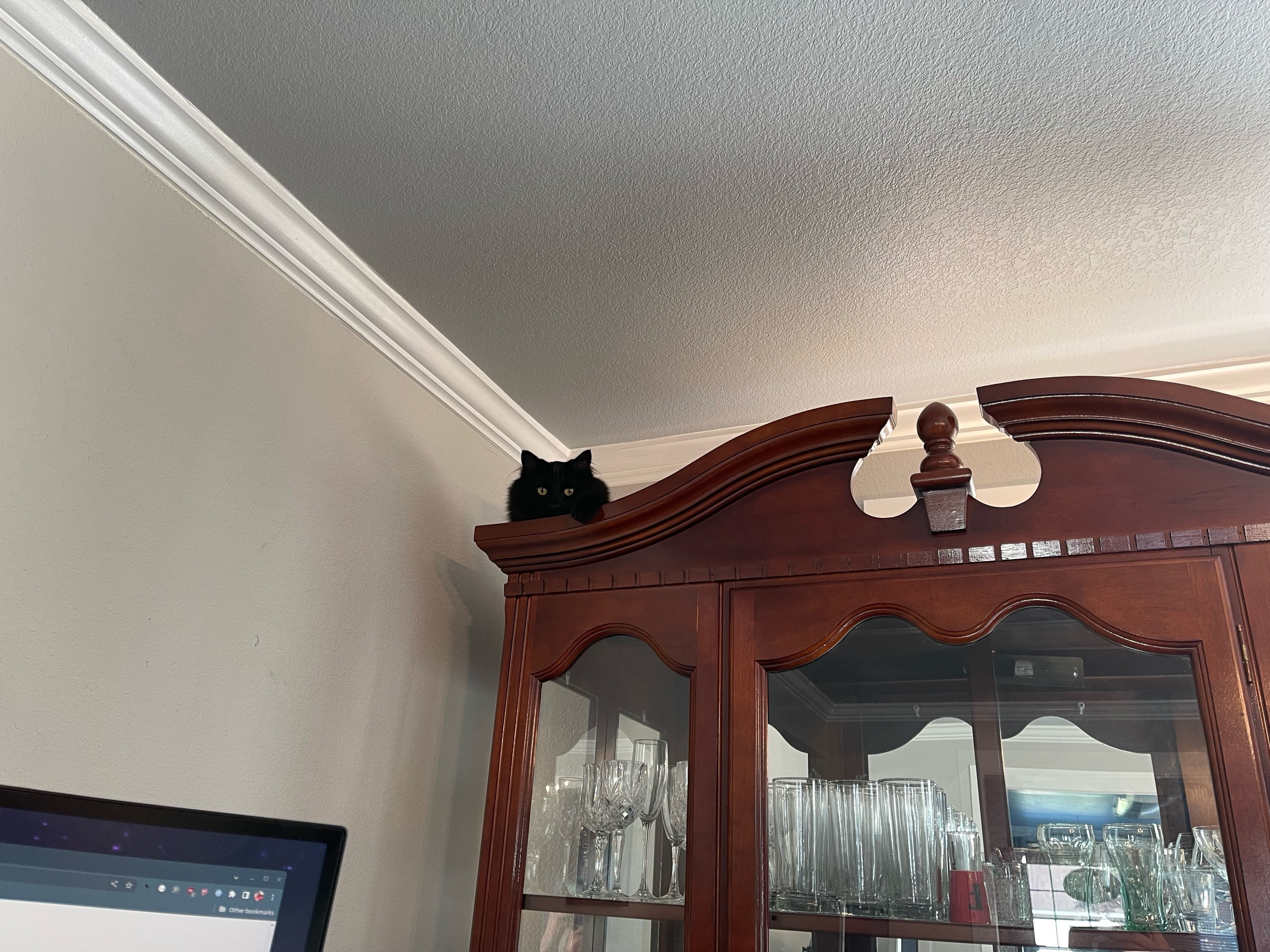 Head of a black cat peering down at you from the top of a china cabinet. 