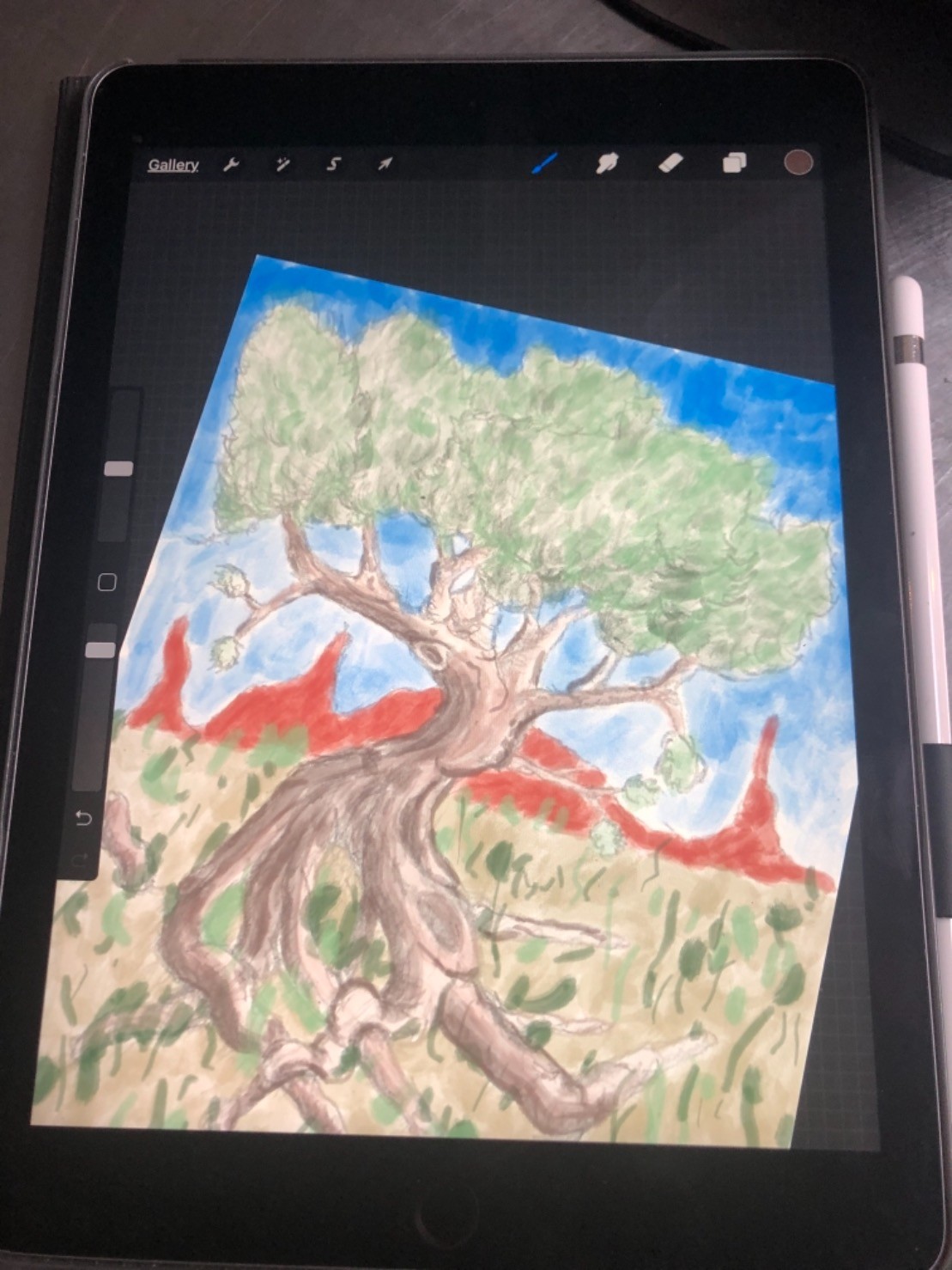 Photo of iPad with color drawing of a tree