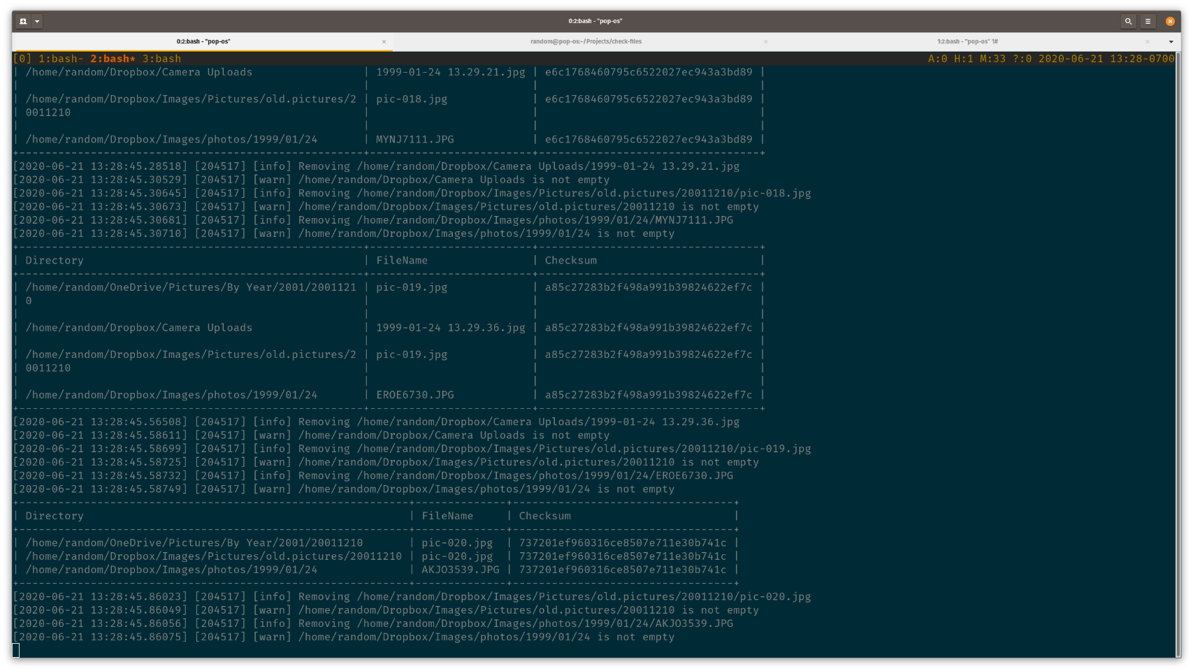 terminal screenshot showing duplicate files and reporting files being deleted