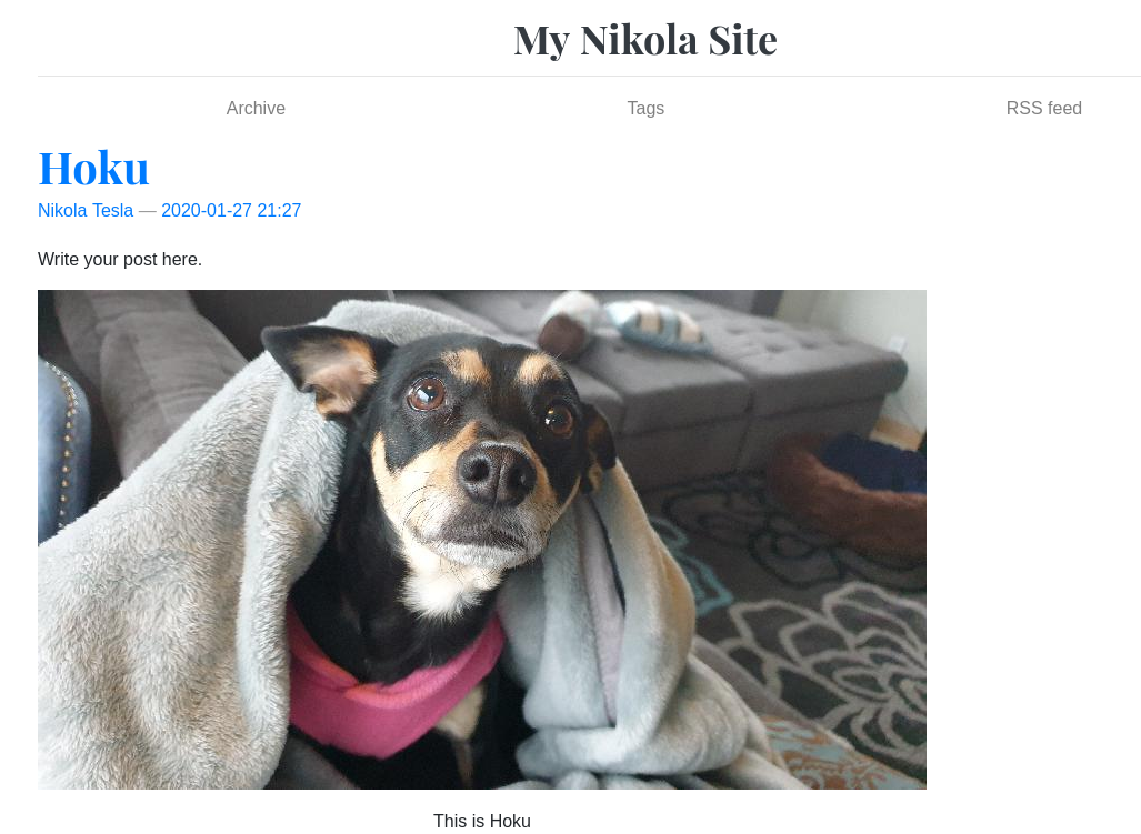 photo of cute small chihuaua-ish dog under a blanket, used in a stock web site